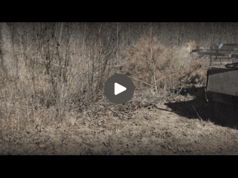 2002_ManagementMinute_FireBreaks